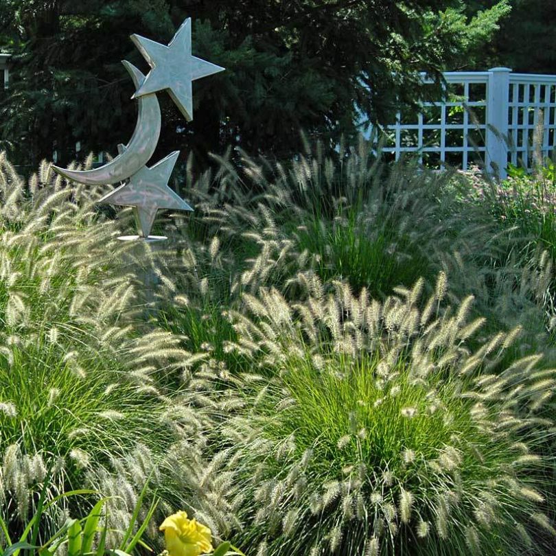 Decorative metal star and moon sculpture in a garden with fountain grasses and a white fence in the background.