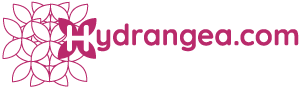 Hydrangea Logo